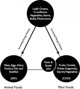 From "Metabolic Winter"