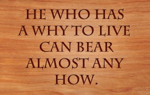 What's your reason why?