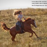 Get back in the saddle toward your success!