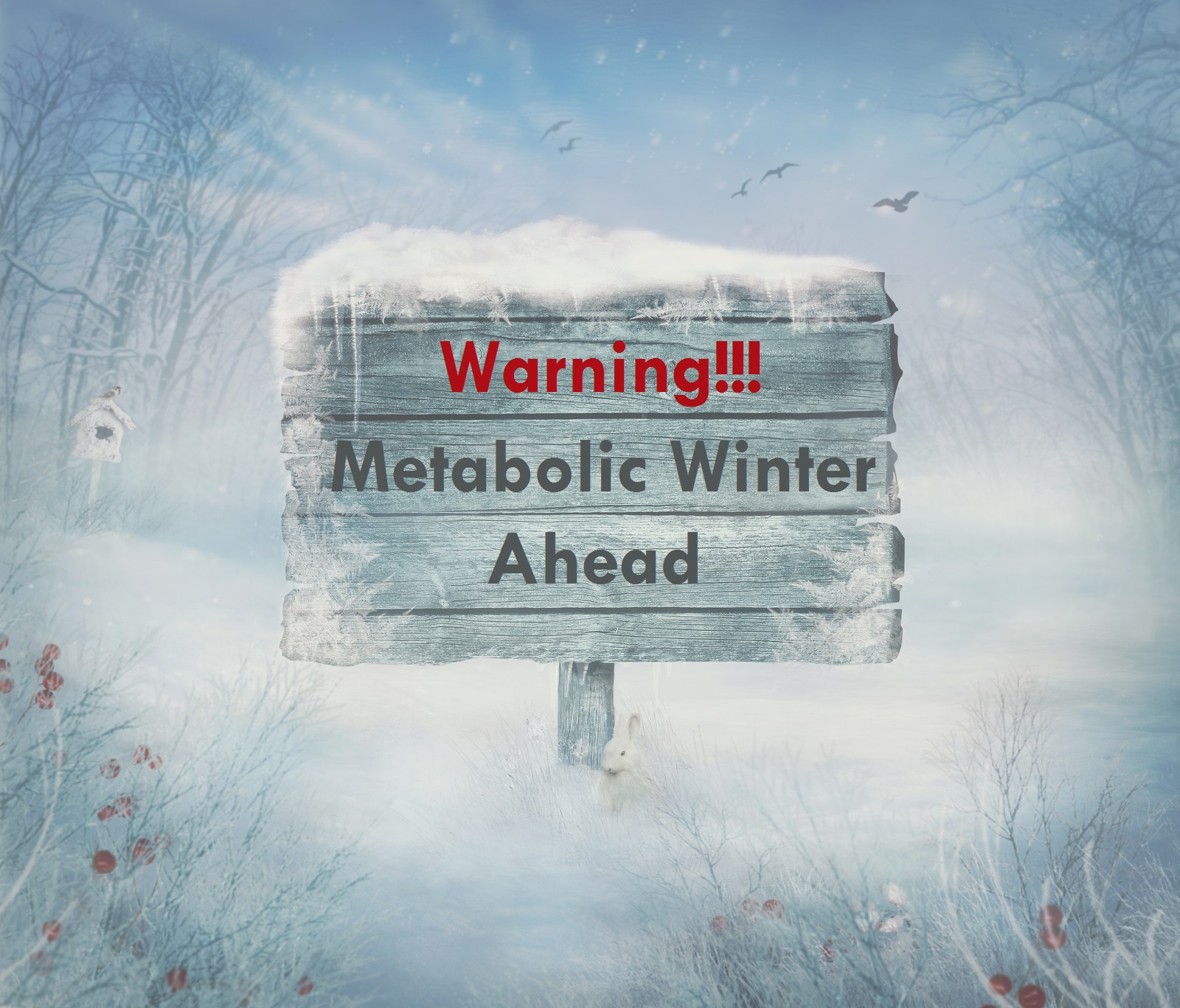 [MUST READ] The “Metabolic Winter” Hypothesis…